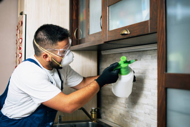 Best Pest Control Near Me  in Hide A Way Lake, MS