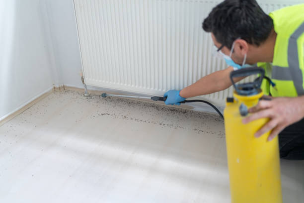 Best Pest Inspection Near Me  in Hide A Way Lake, MS